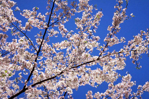 20141227110727-34277969